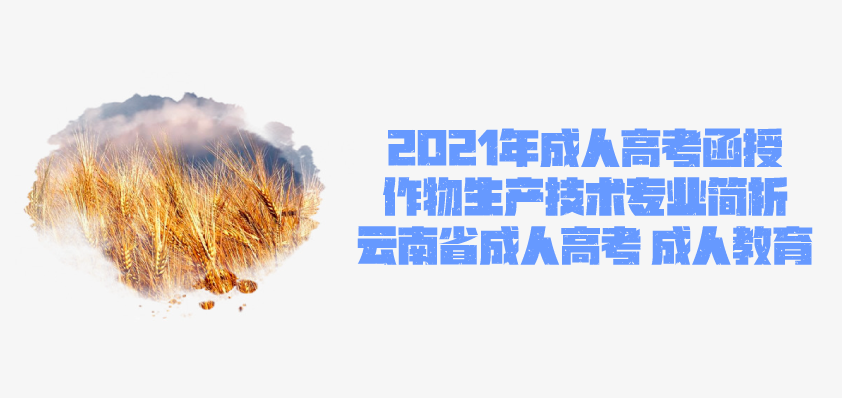 2021成人高考函授 作物生产技术专业简析 云南成人高考 成人教育