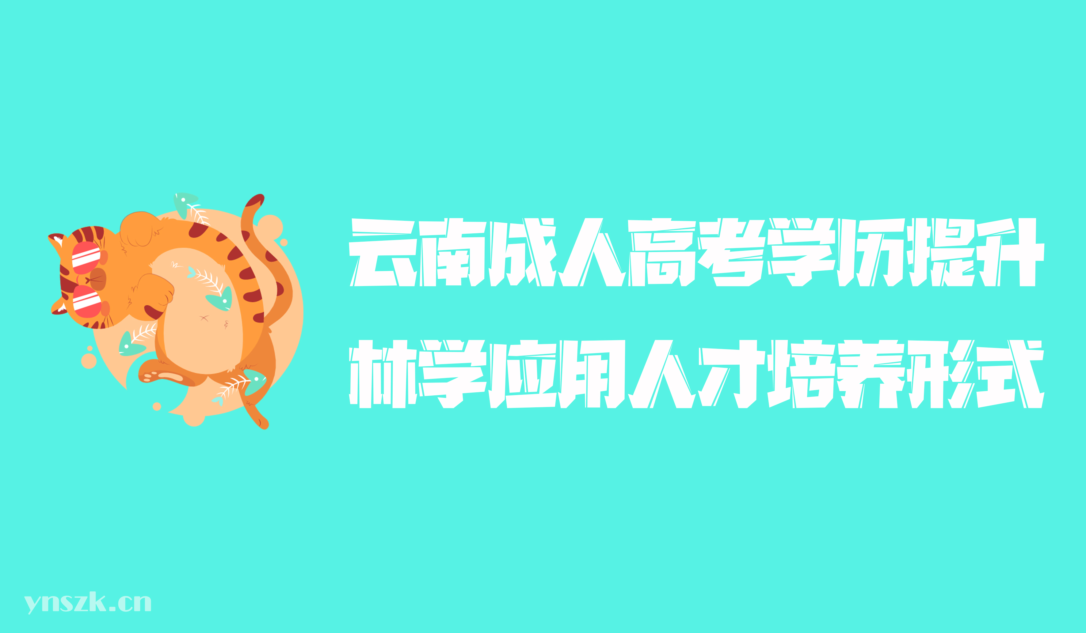 云南成人高考2021年学历提升函授形式林学专业应用型人才培养形式