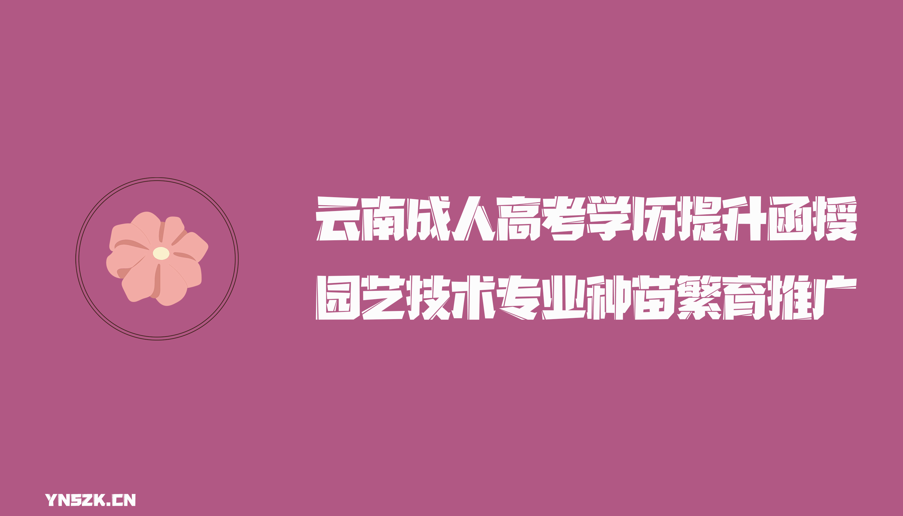 云南成人高考学历提升函授园艺技术专业种苗繁育推广