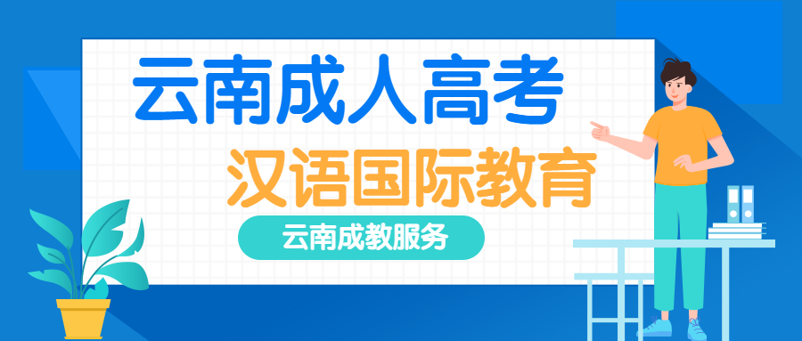 云南省成人高考汉语国际教育专业就业前景