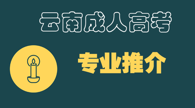 2022云南省成考会计专业有用吗？