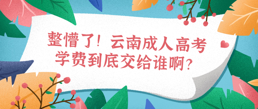 整懵了！云南成人高考学费到底交给谁啊？