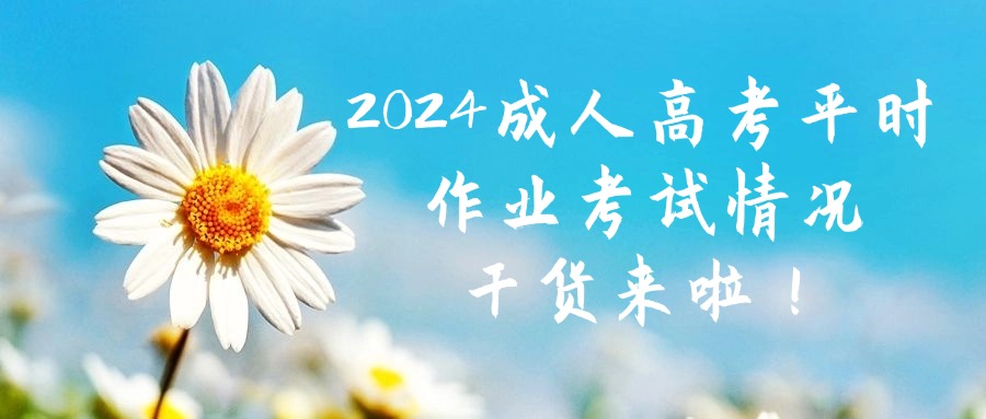 2024成人高考平时作业考试情况，干货来啦！