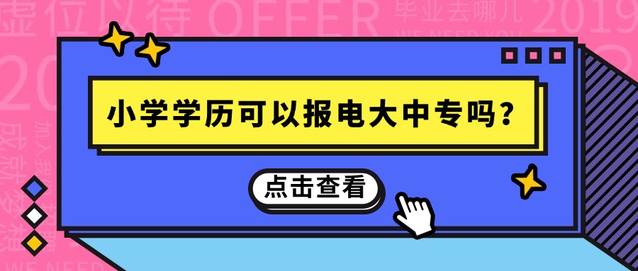 小学学历可以报电大中专吗？