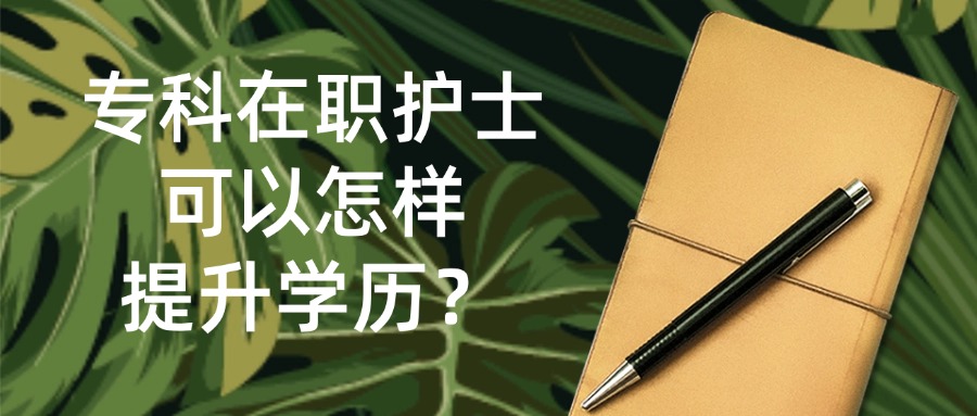 成人高考专科在职护士可以怎样提升学历？