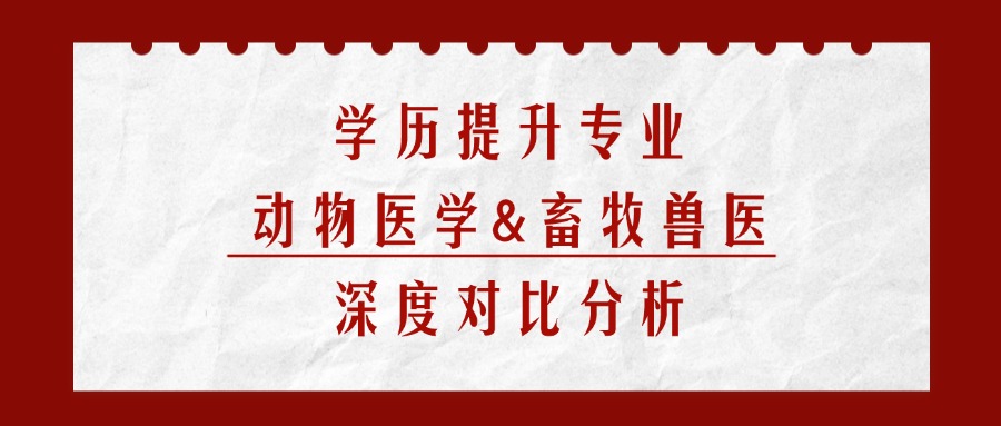学历提升专业动物医学&畜牧兽医，深度对比分析