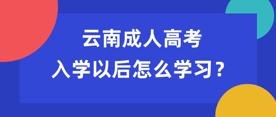 云南成人高考入学以后怎么学习？