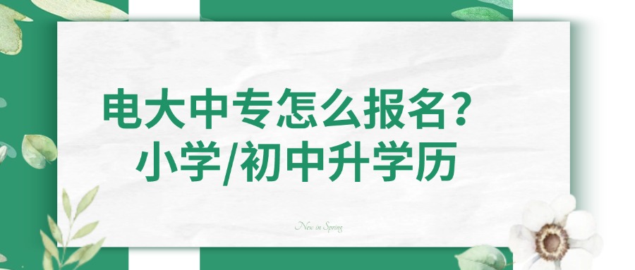 电大中专怎么报名？小学/初中升学历